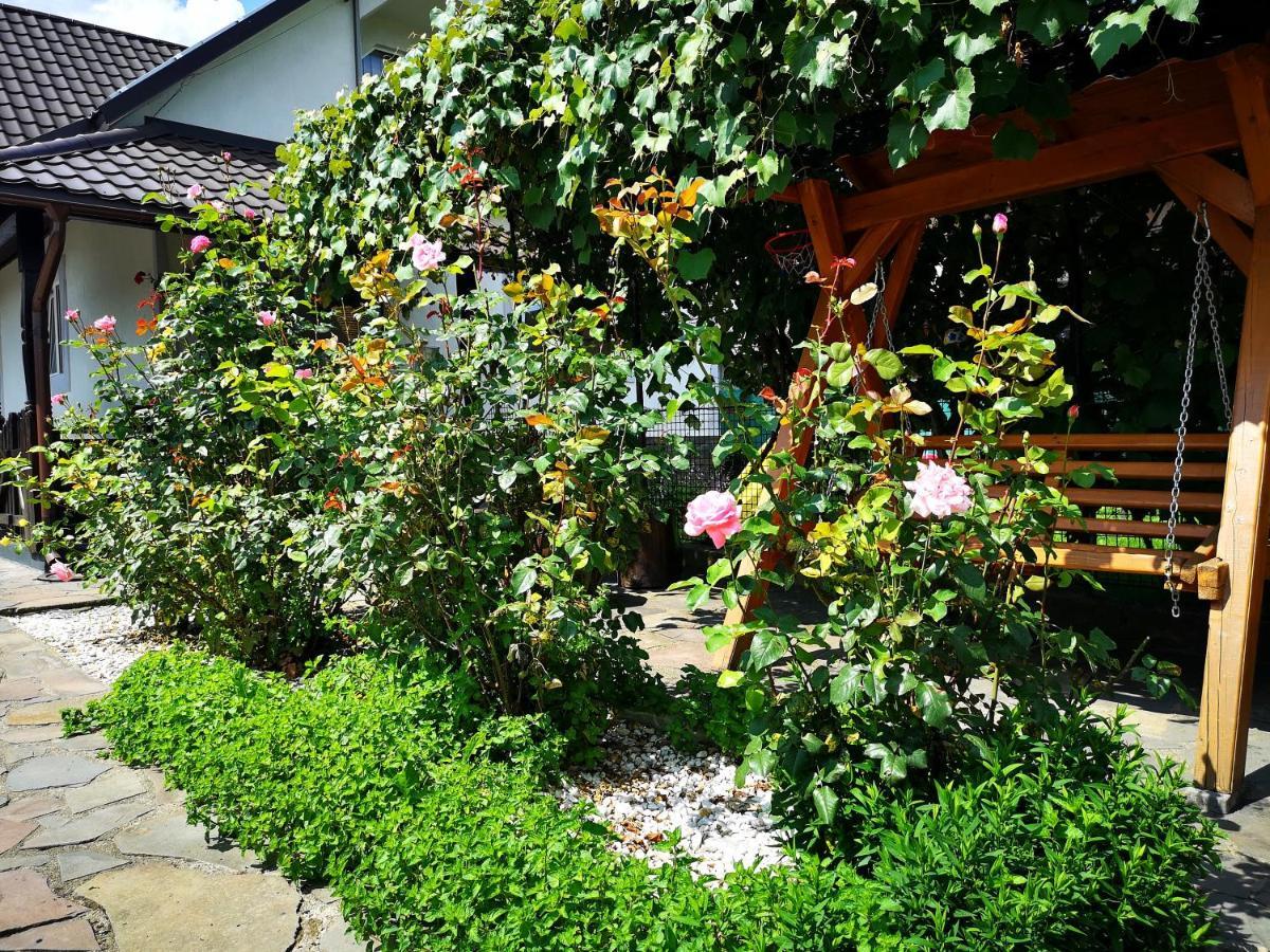 Apartamento La Dory Satu Sugatag Exterior foto